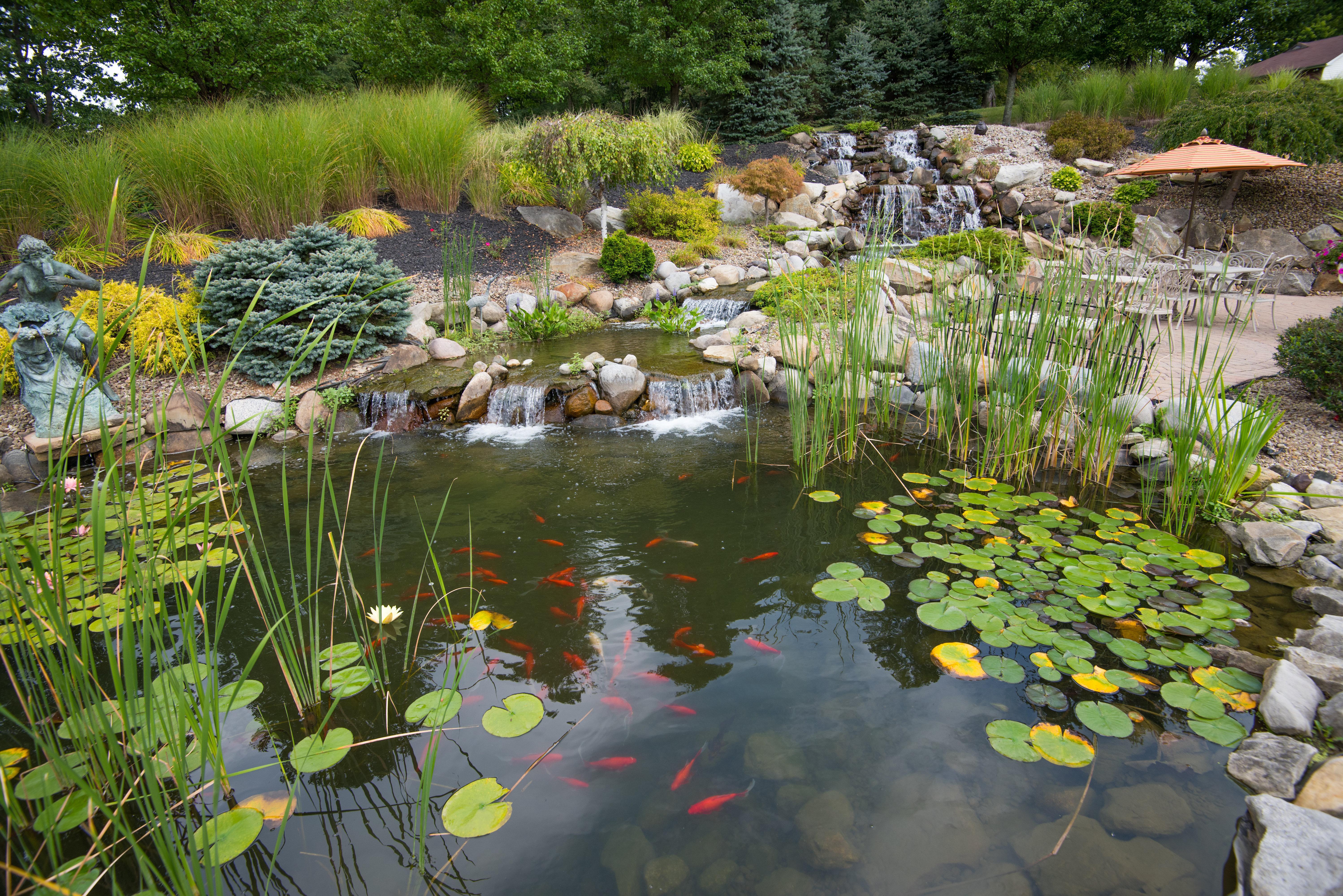 Holiday Inn Express & Suites - Sharon-Hermitage By Ihg West Middlesex Eksteriør billede
